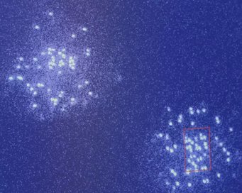 Quantum advantage and stability to errors in analogue quantum simulators