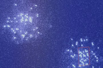 Quantum advantage and stability to errors in analogue quantum simulators